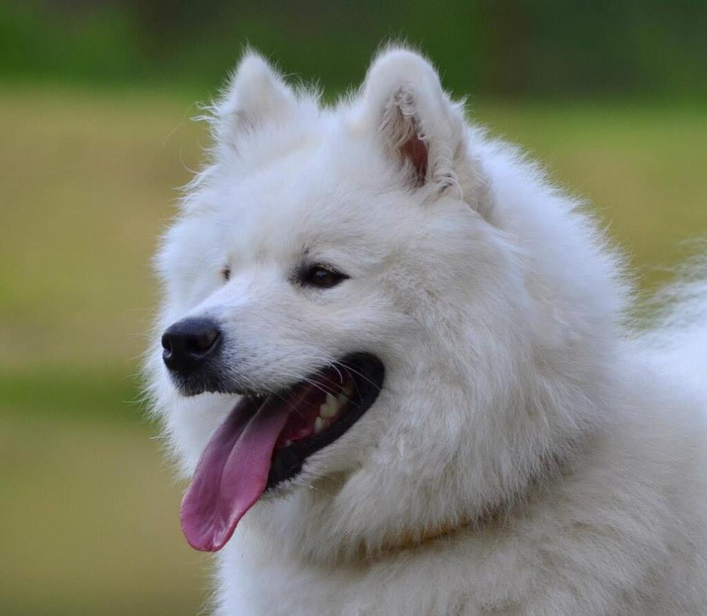 470866466 10170008661645702 5447257291284691920 n